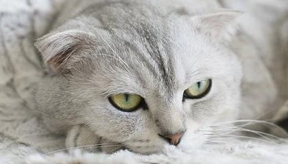 开云官网-有求必应，J.Cole在更衣室里给队友疯狂签名