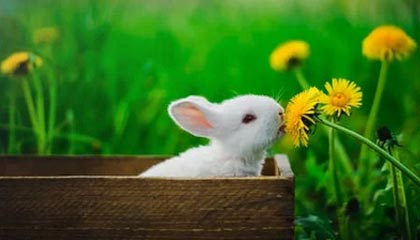 开云官网-有求必应，J.Cole在更衣室里给队友疯狂签名